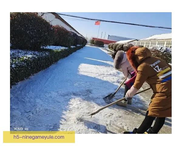 安德莱赫特球迷与裁判共同铲雪保赛进行